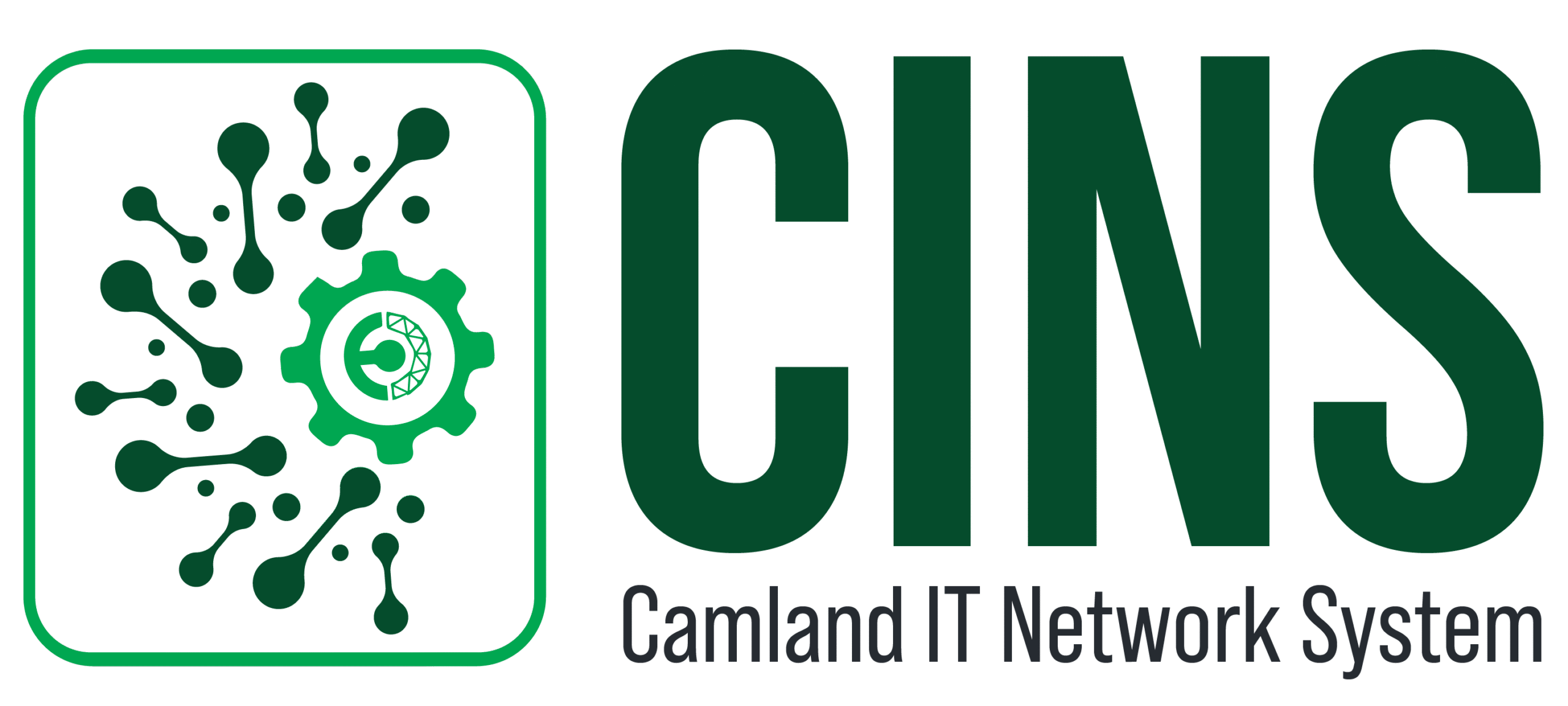 Cins-ci